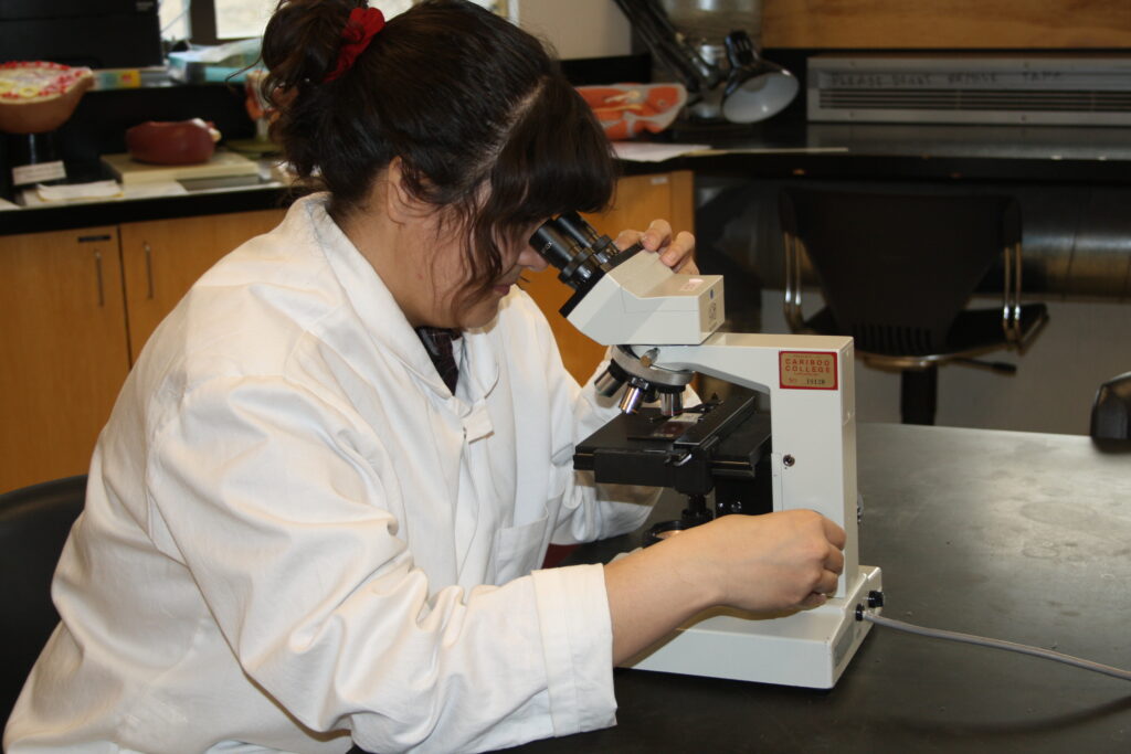 Indigenous student from the Ntekepmx Nation adjusting the lens of a microscope while using it in a science/biology laboratory.