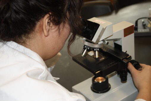 Indigenous student from the Ntekepmx Nation looking through a microscope while adjusting its lens in a biology laboratory.