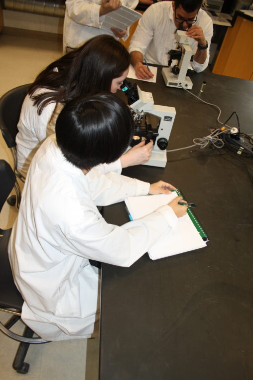 Four Indigenous students from the Metis, Haida, and Ntekepmx Nations using two microscopes in a biology laboratory.