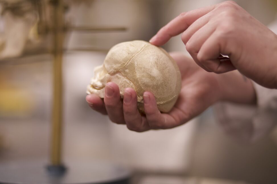 Close up of an Indigenous student pointing at the top of a baby skull.