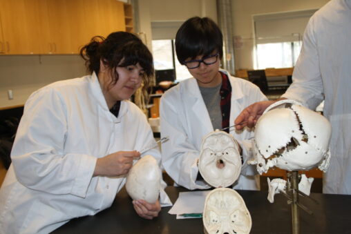 Three Indigenous students from the Haida and Ntekepmx Nations studying some skull props in a biology laboratory