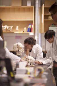 Four Indigenous students from the Haida, Metis and Ntekepmx Nations gather around a skull prop on a table in a biology. laboratory.