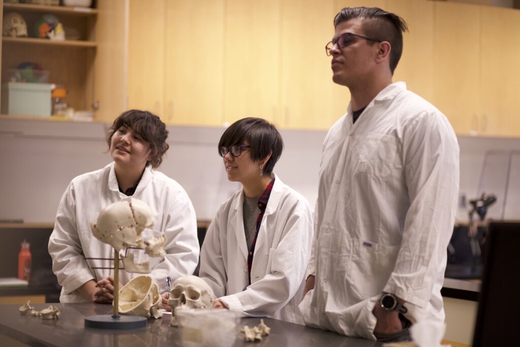 Three Indigenous students in front of a desk that has multiple skull props on it in a biology/anatomy laboratory.