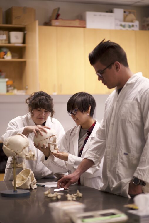 Three Indigenous students from the Haida and Ntekepmx Nations in an anatomy laboratory. Two students are holding a skull prop while the third one is grabbing a tool.