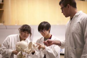 Three Indigenous students from the Haida and Ntekepmx Nations observing a skull prop in a biology laboratory. One student is holding the skull while the others are on each side looking at it.